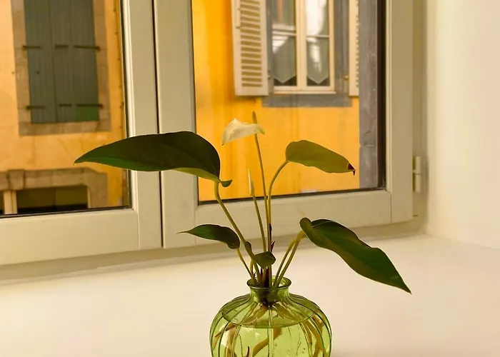 Le Montaigu De Bigorre Instant Pyrenees